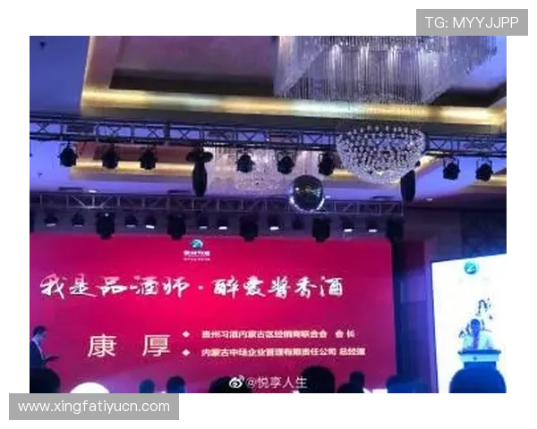 668体育网的会员服务与付费内容介绍，满足不同用户的多样需求